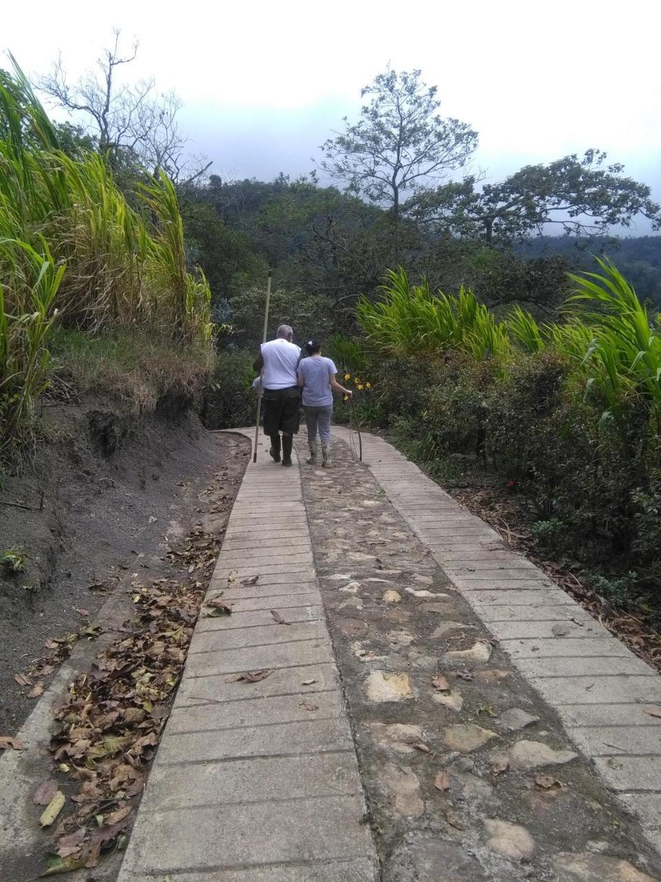 הוילה Guayabal de Síquima Casa Finca El Girasol מראה חיצוני תמונה